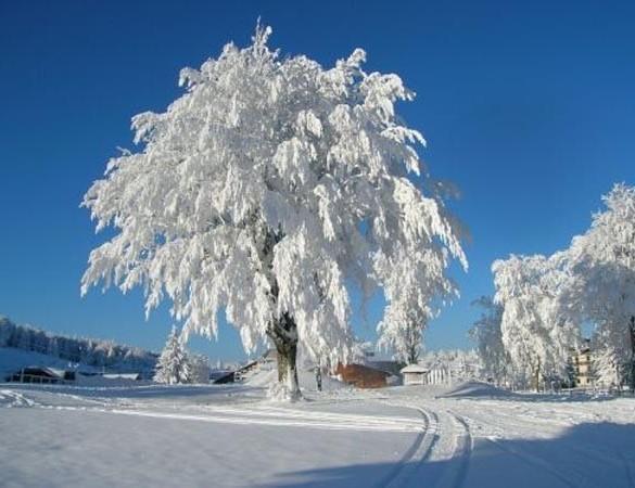 Appartamenti Dolomiti Моена Екстериор снимка