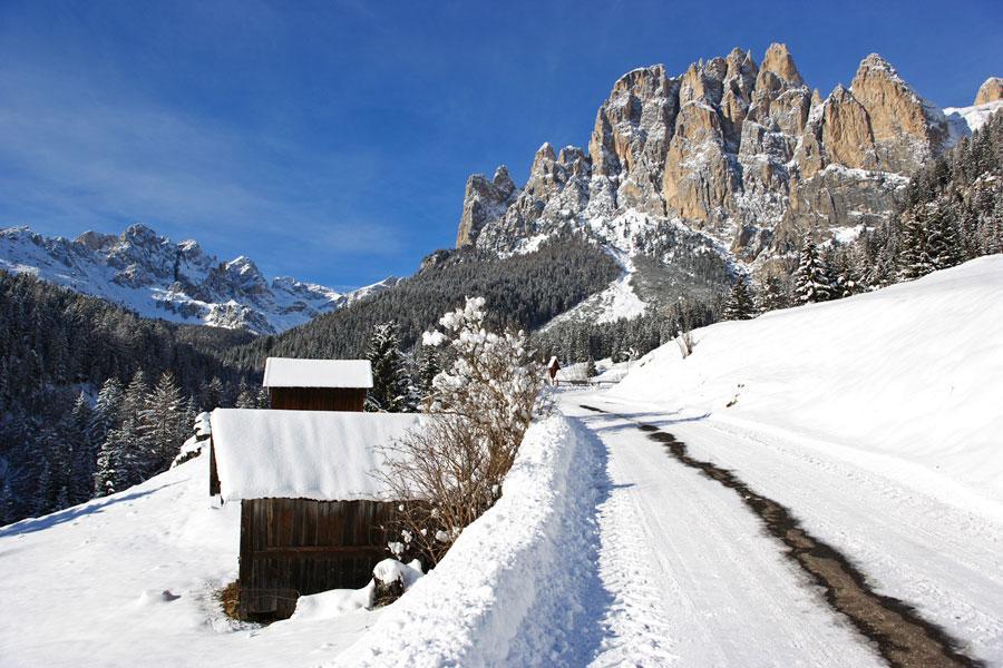 Appartamenti Dolomiti Моена Екстериор снимка